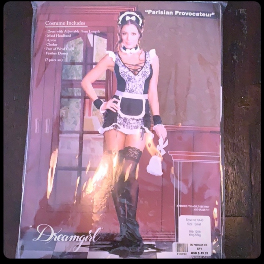 ‘Persian Provocateur’ Maid Costume